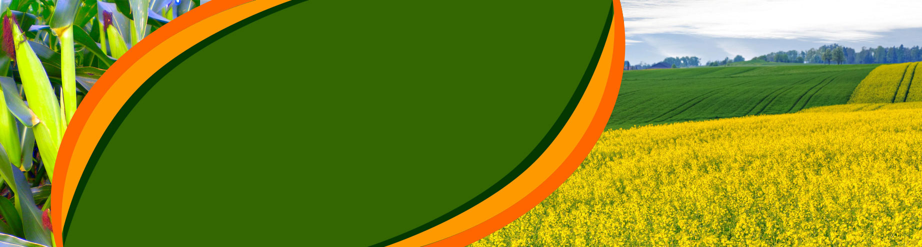 slidebg1